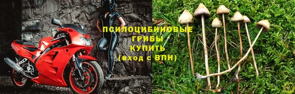 СК Абаза