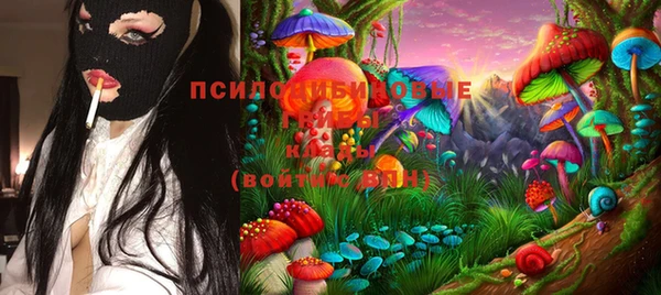 стафф Михайлов