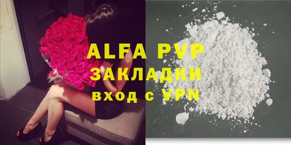стафф Михайлов