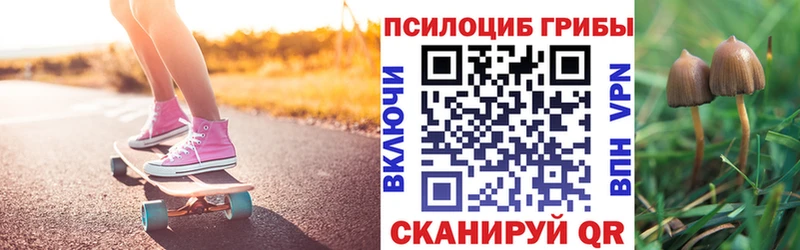 купить наркоту Ртищево Галлюциногенные грибы прущие грибы